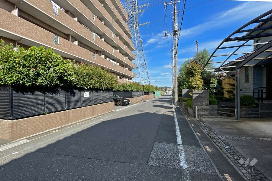 敷地南側の前面道路（西側から）