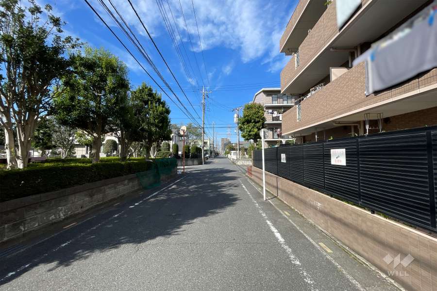敷地西側の前面道路（南側から）