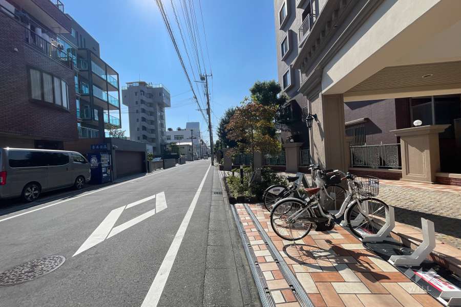 敷地の東側前面道路（北側から）