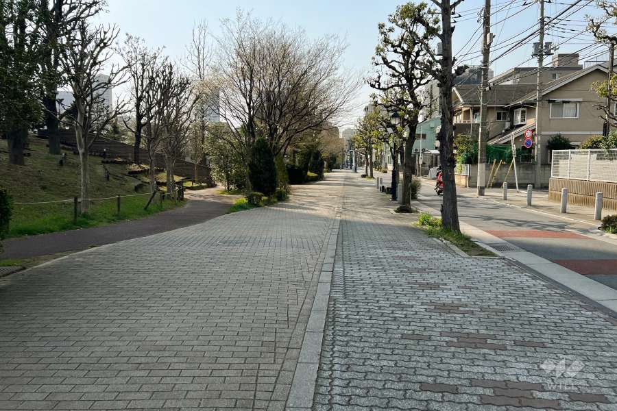 敷地北東側の前面道路（南東側から）