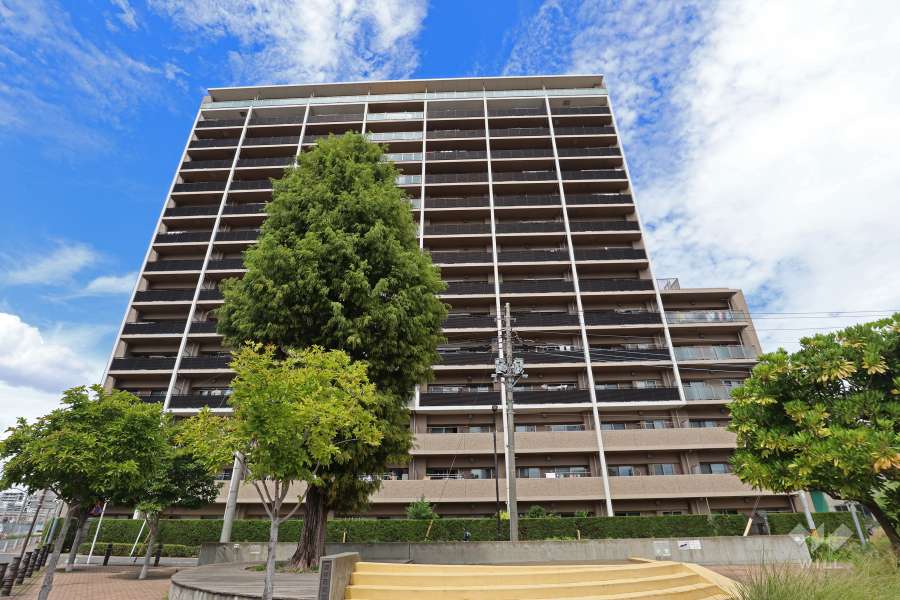 川口ティーブルーの外観（南側から）