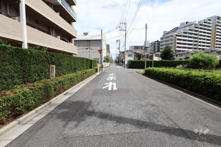敷地南側の前面道路（西側から）