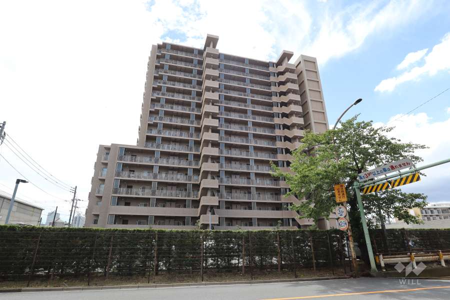 川口ティーブルーの外観（北東側から）
