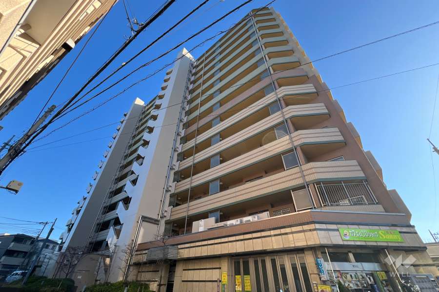 ダイアパレス鳩ヶ谷本町の外観（北東側から）　