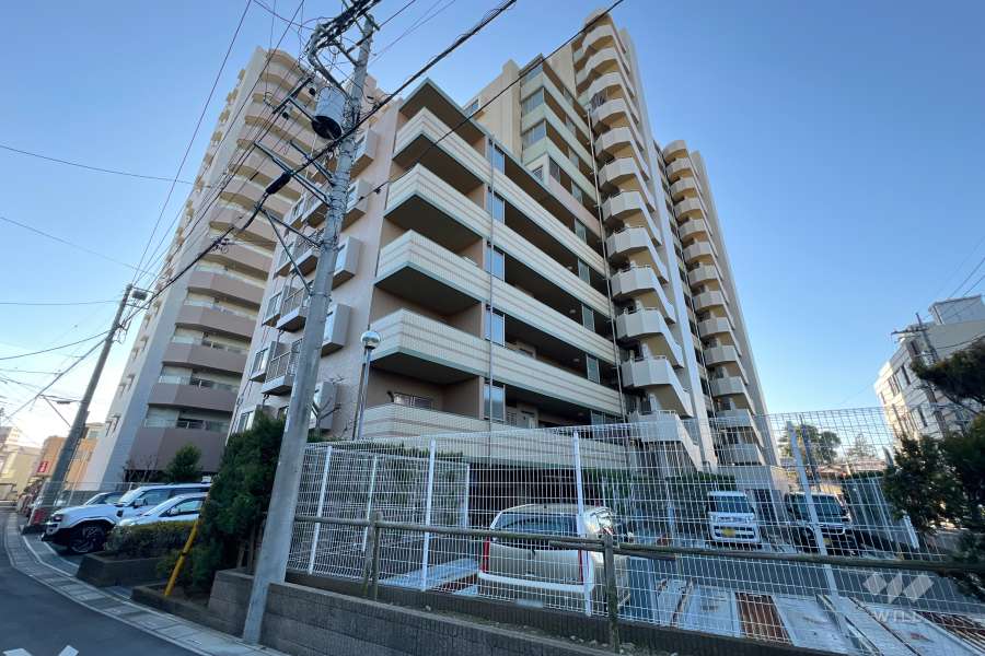 ダイアパレス鳩ヶ谷本町の外観（北東側から）