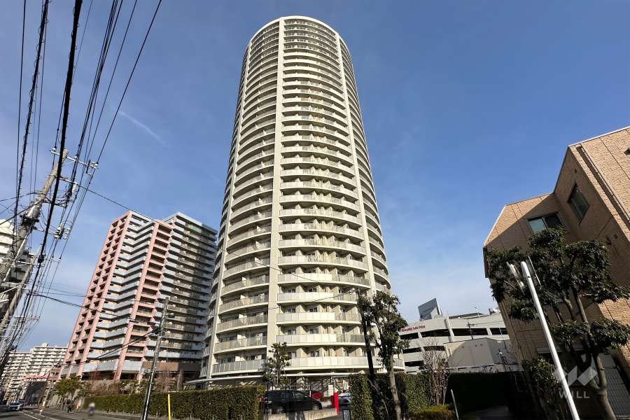 ドリームタワーキュアレジデンスの外観（南西側から）