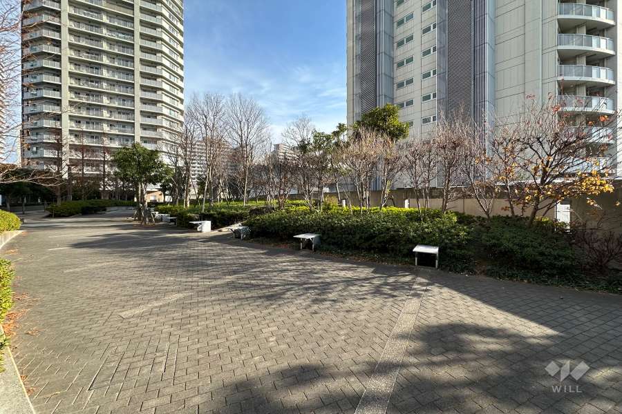 敷地北側の前面道路