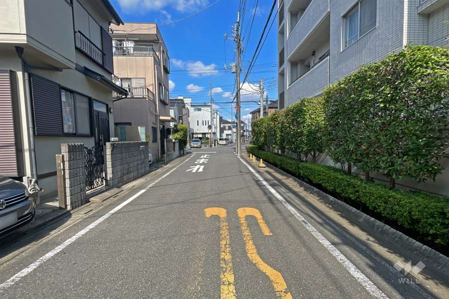 敷地北側の前面道路（西側から）