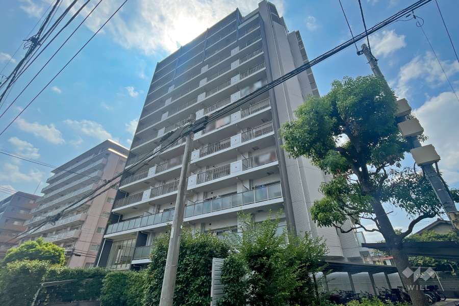 ラヴィドール川口の外観（北東側から）