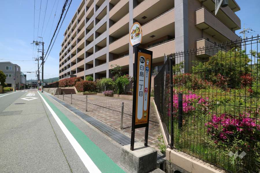 敷地の目の前にあるバス停