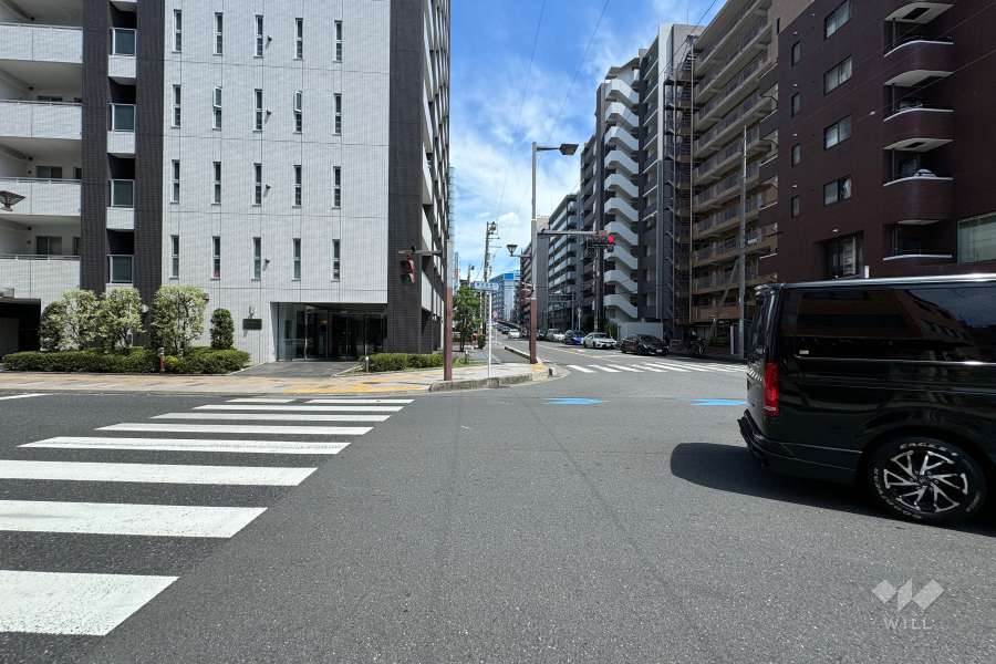 敷地の南側前面道路（西側から）