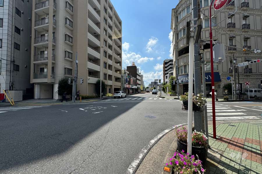 敷地西側の前面道路