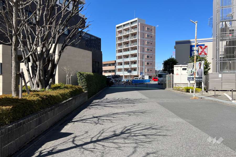 敷地北側の前面道路