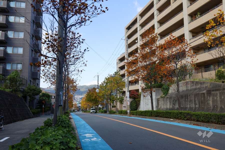 敷地西側の前面道路（南側より）