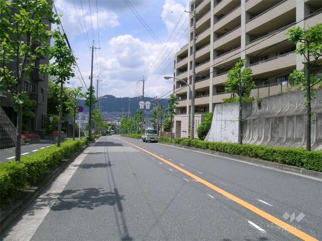 敷地の前面道路。街路樹がきれいで、箕面の山を見渡せます。