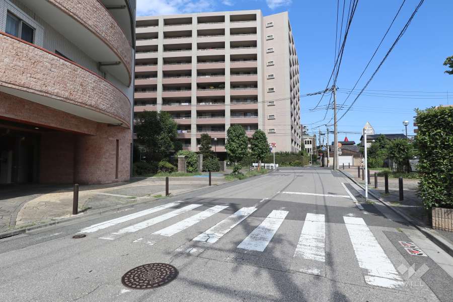 敷地南側の前面道路