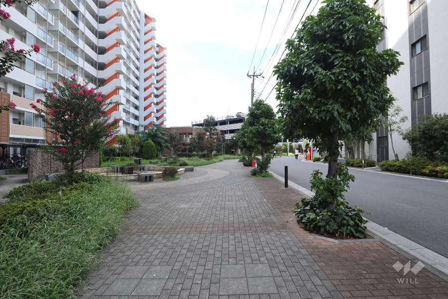 敷地東側の前面道路