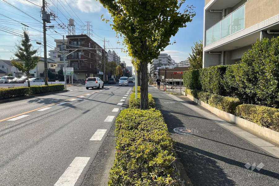 敷地南側の前面道路（東側から）