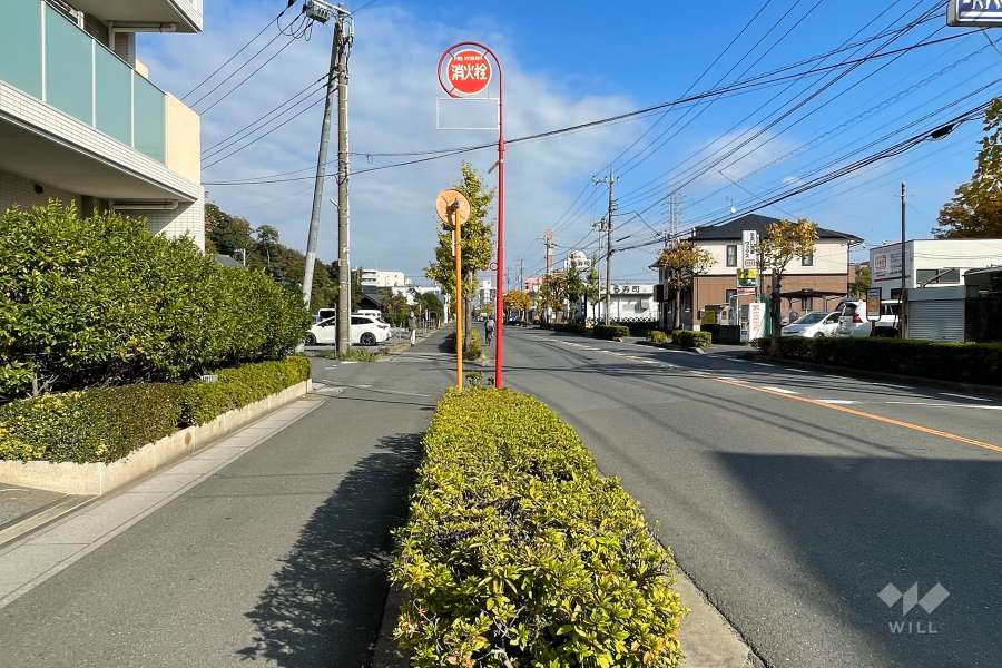 敷地南側の前面道路（西側から）