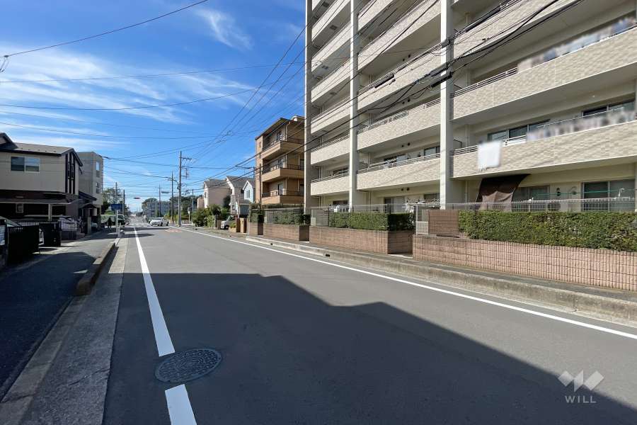 敷地南側の前面道路　