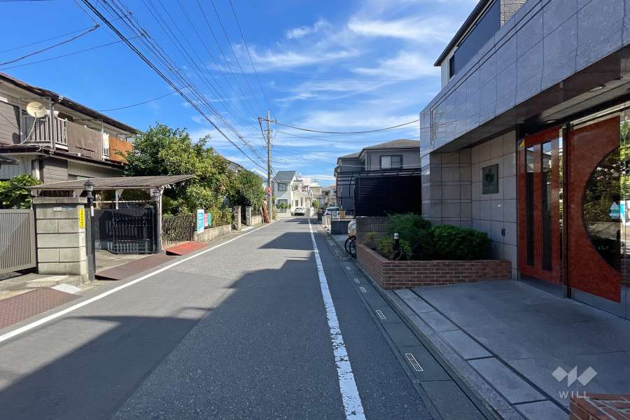 敷地の北側前面道路（西側から）