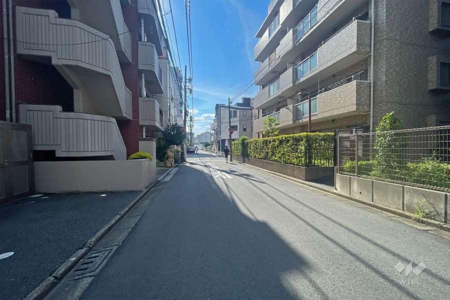 敷地北側の前面道路（東側から）