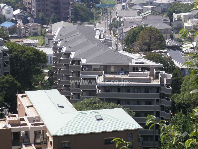 ネバーランド箕面・潤水館(西棟）　（北側から）　たいへん自然豊かな住環境です。