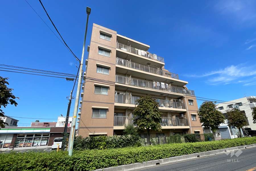 インターハイム東川口プレディエンスの外観（南西側から）