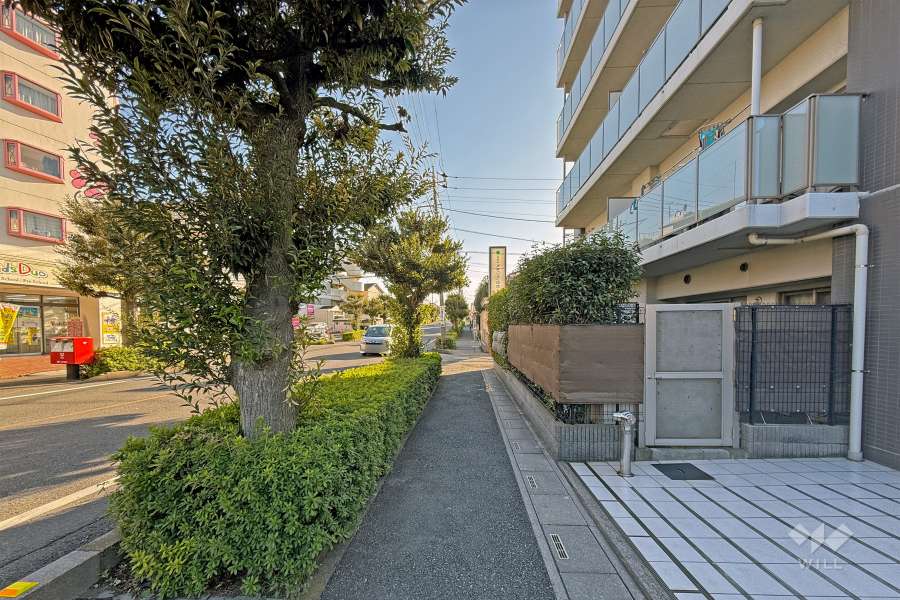 敷地の東側前面道路は大間木蕨線です（北側から）。