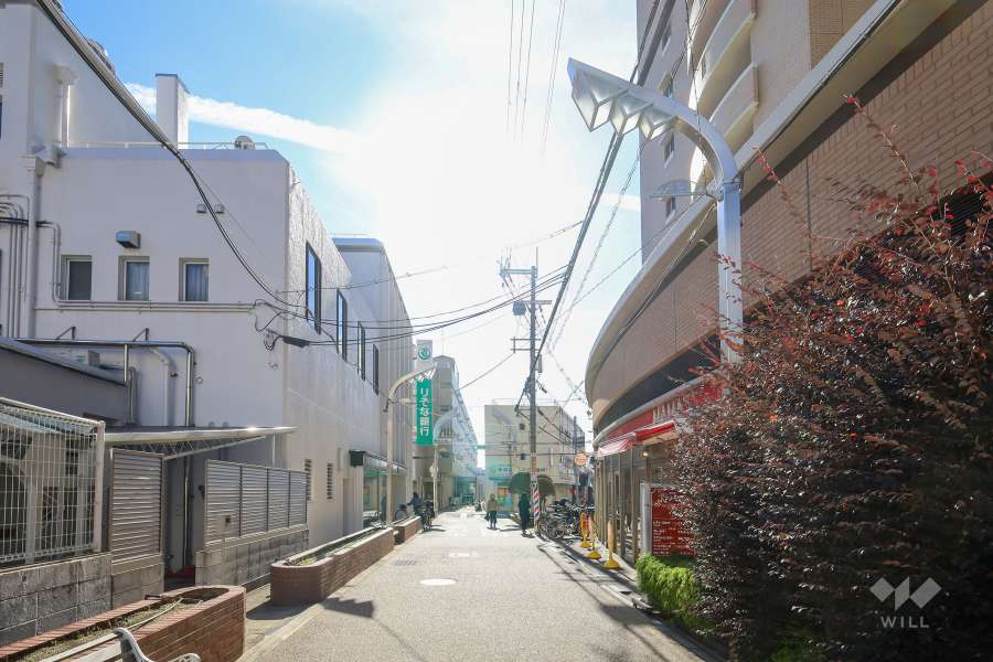 敷地東側の前面道路（北側から）