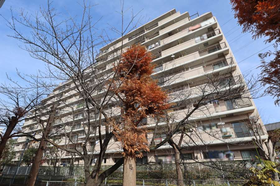 朝日プラザ鳩ケ谷クレセントの外観（南側から）