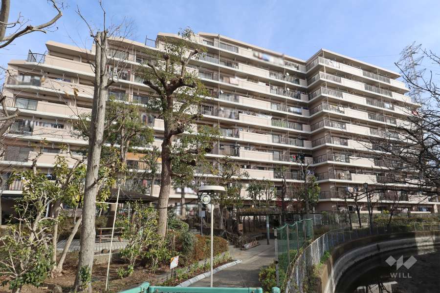 朝日プラザ鳩ケ谷クレセントの外観（西側から）