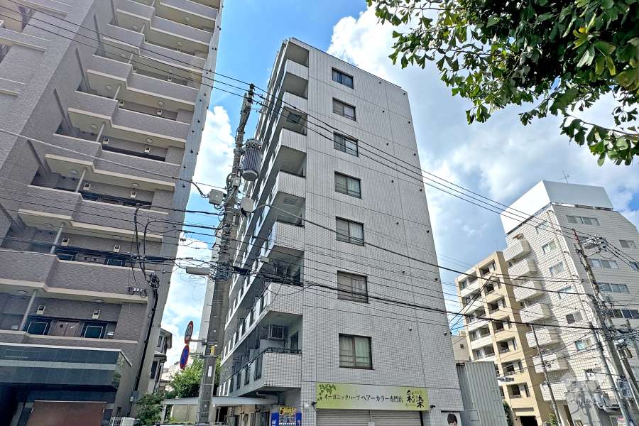 スカイコート西川口２の外観（北東側から）