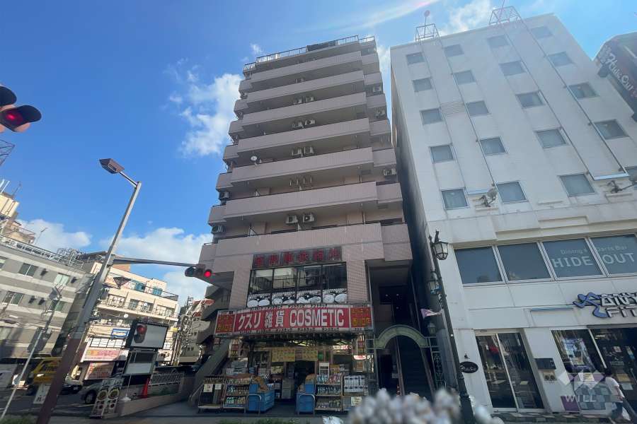 スカイコート西川口5の外観（南西側から）