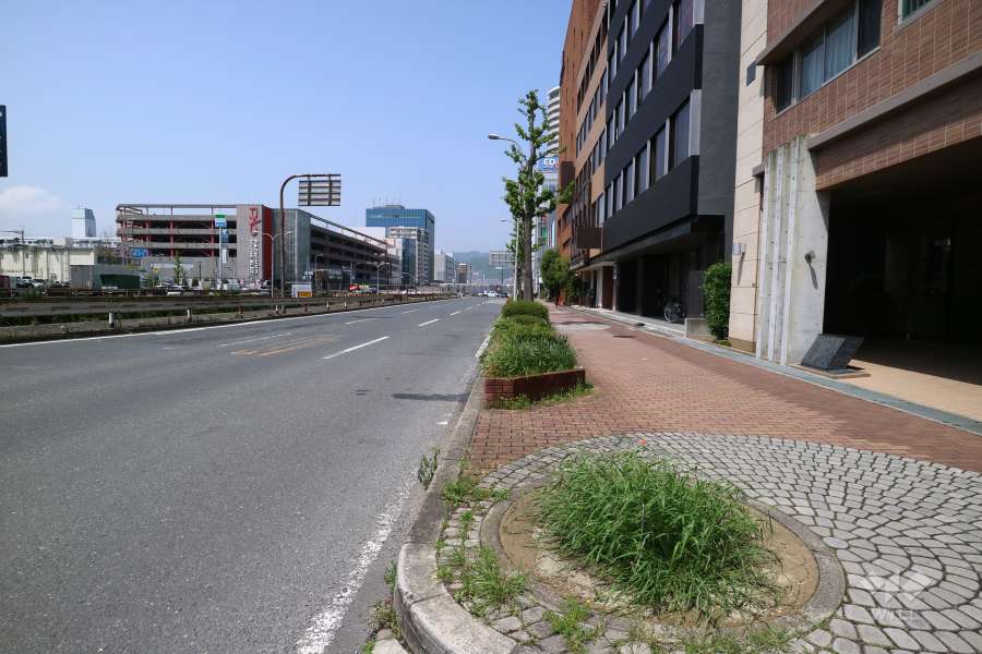 敷地西側の前面道路