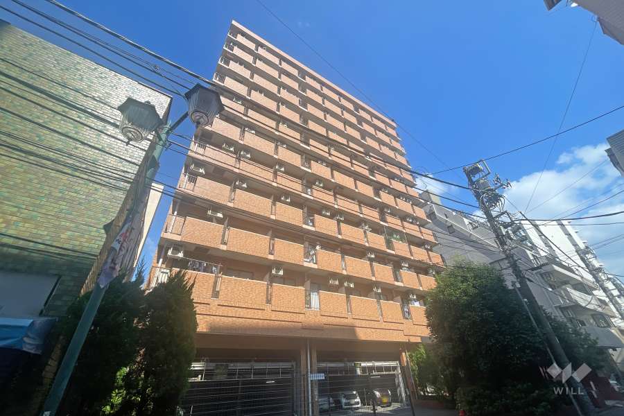 ライオンズマンション西川口第11の外観（南東側から）