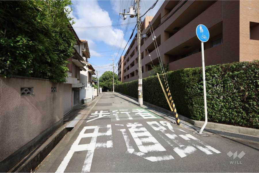 敷地南側の前面道路