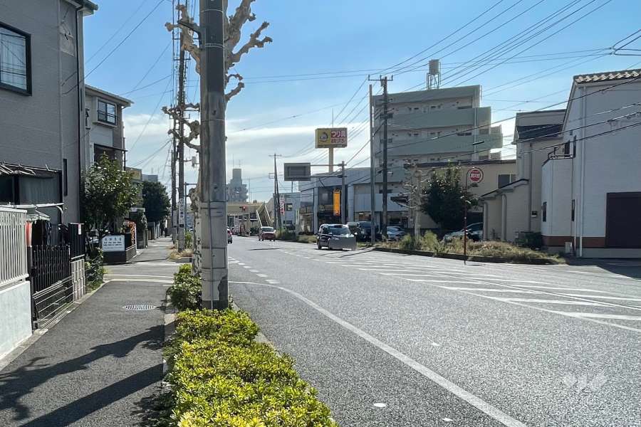敷地の西側前面道路（北側から）