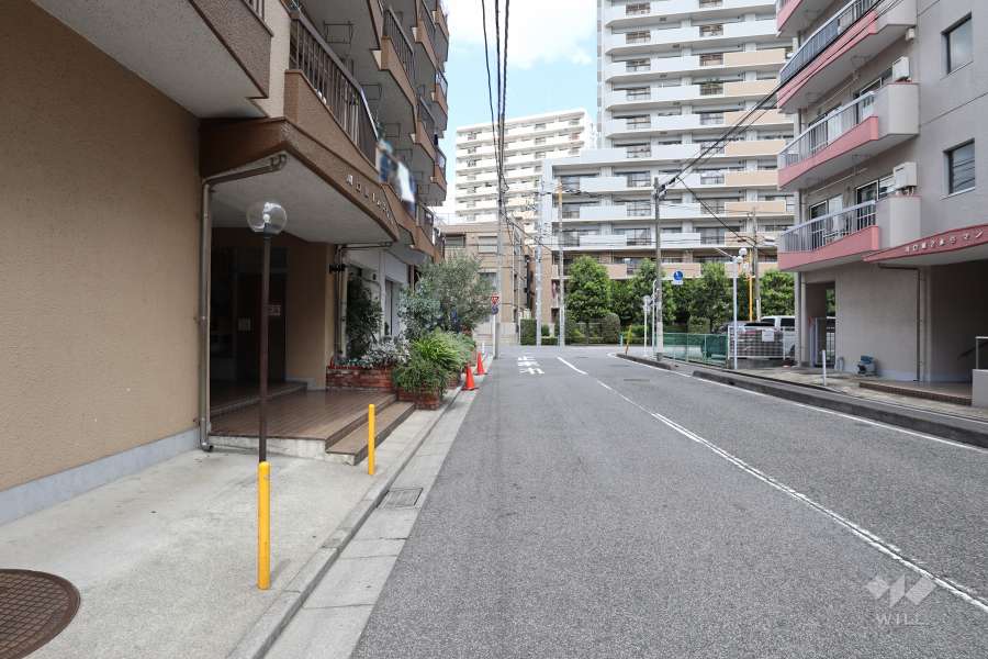 敷地東側の前面道路　