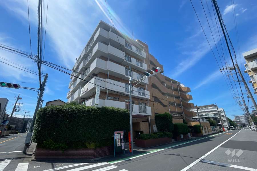 川口中青木第２ローヤルコーポの外観（南東側から）