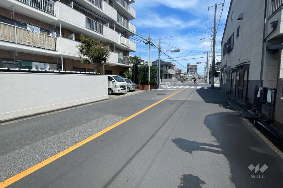 敷地の南側前面道路（西側から）