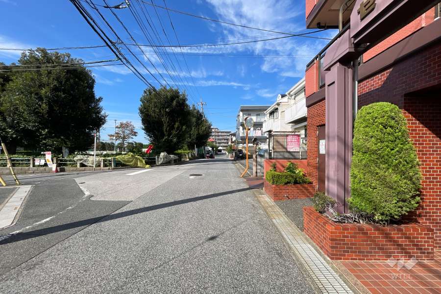 敷地の西側前面道路（南側から）