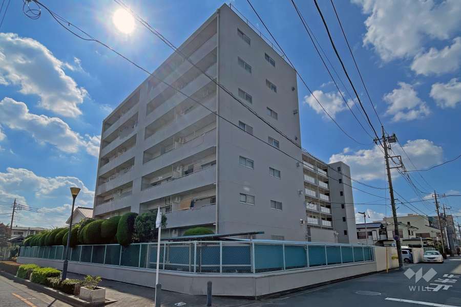 川口青木住宅の外観（北東側から）