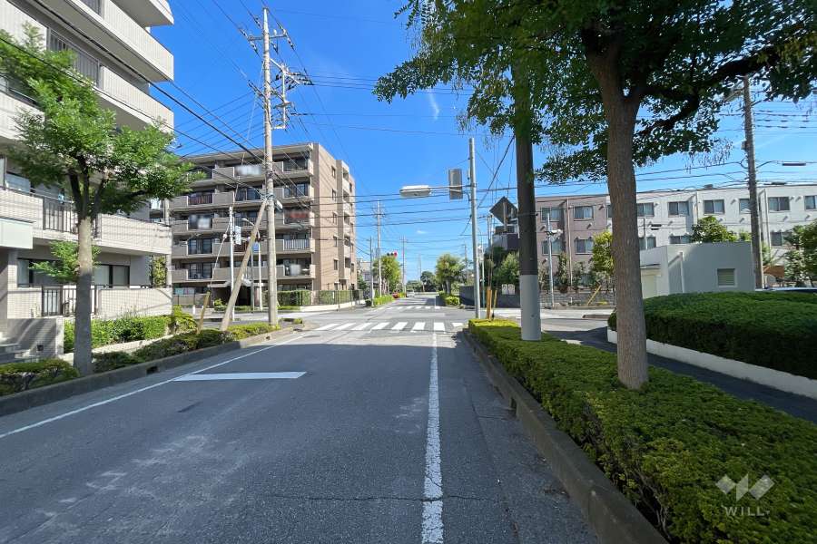 敷地北側の前面道路