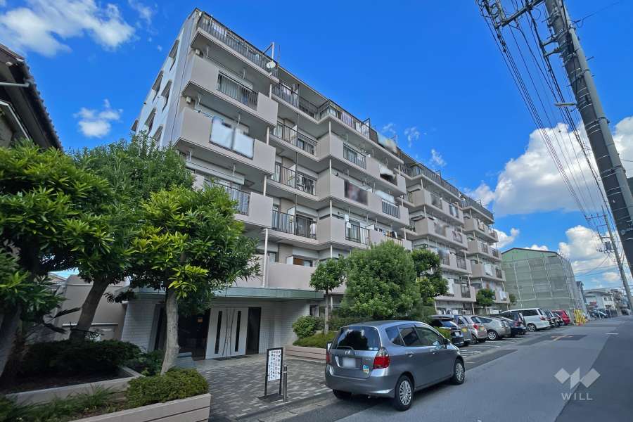 朝日プラザ川口前川の外観（南西側から）