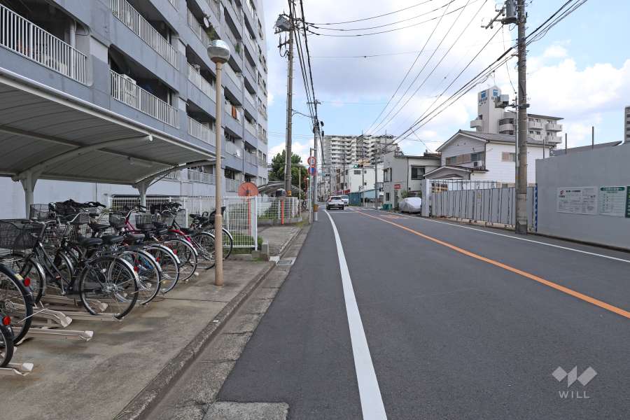 敷地南側の前面道路（西側から）
