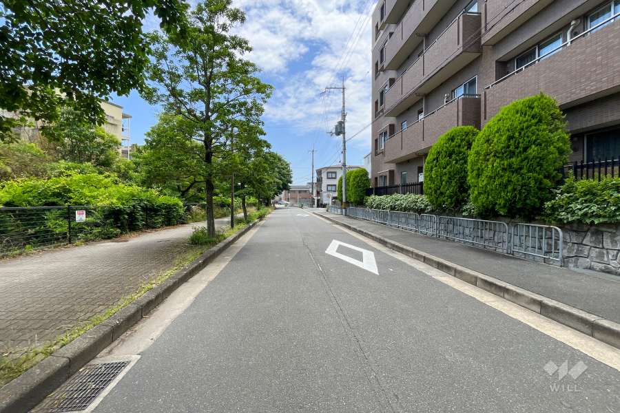 敷地東側の前面道路