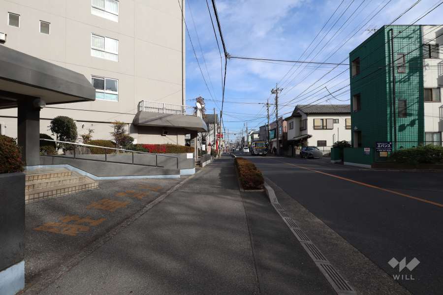 敷地の南側前面道路（西側から）