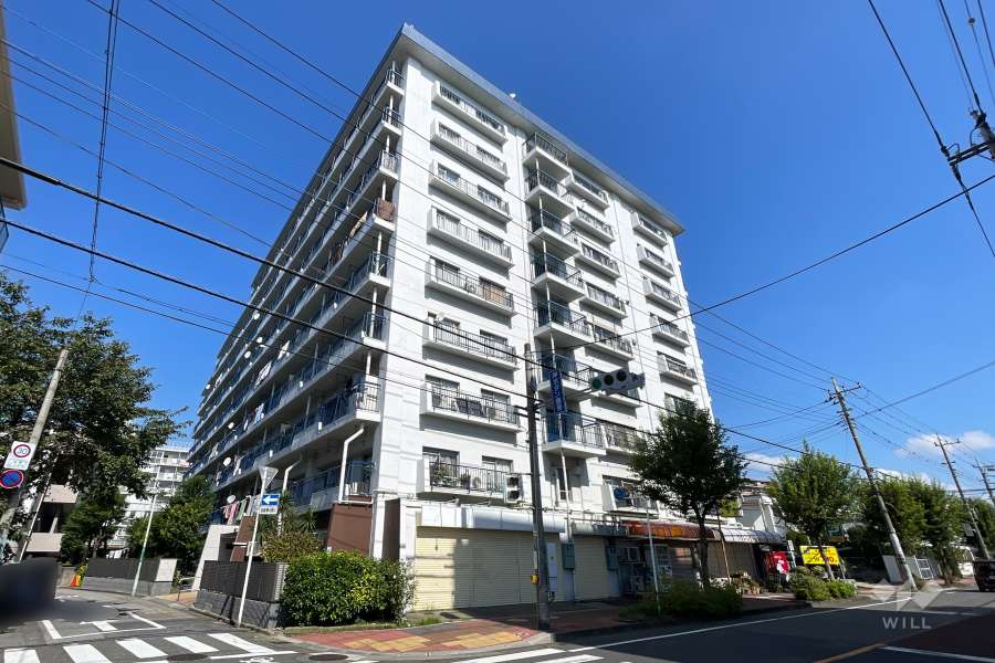 ハイストンハイツの外観（南西側から）