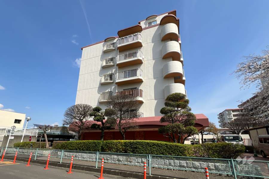 芝園ハイツ2号棟の外観（西側から）